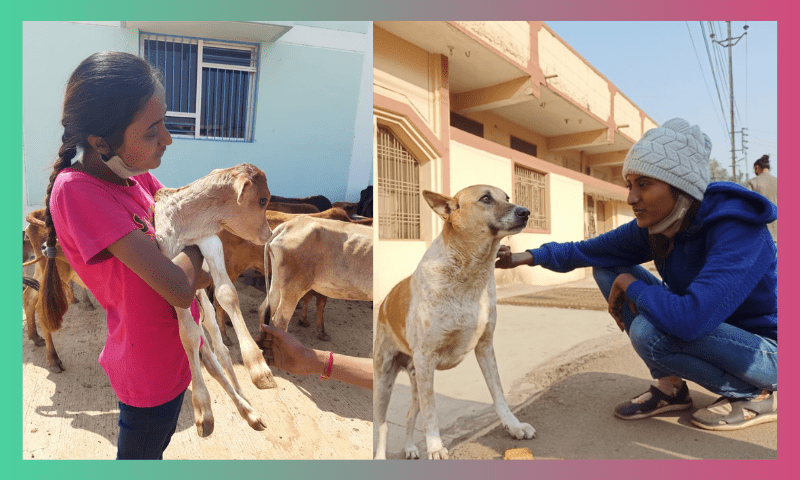 HOMELESS DOG BURNT ALIVE IN RAIPUR : A HORROR STORY 1 blog pics 2 4