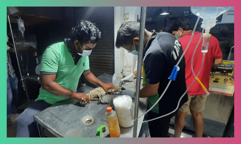 STORY OF ADITYA NAG: A FIERCE RESCUER 1 5